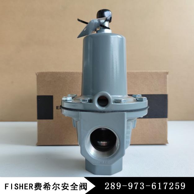 Fisher费希尔289H-42新编码289-973-617259安全放散阀/安全阀