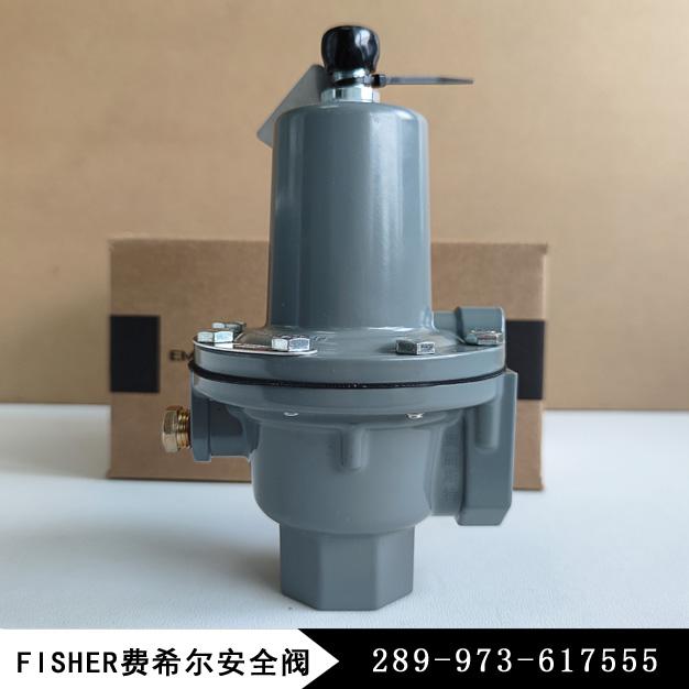 放散阀289H-49新编码289-973-617555费希尔fisher/安全放散阀